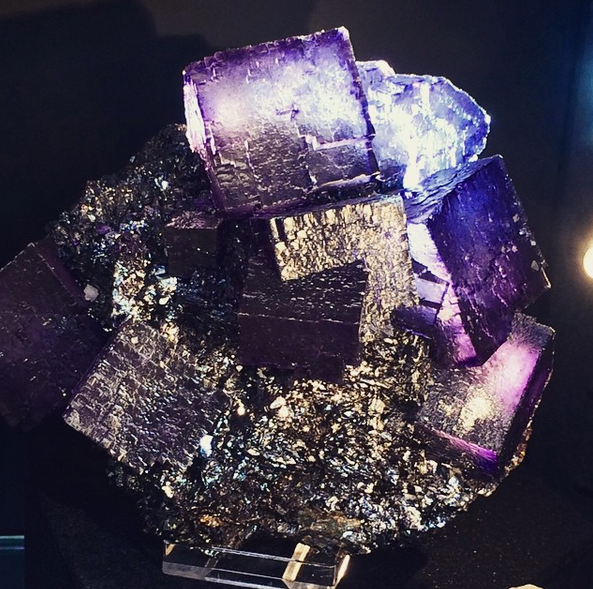 Gorgeous indigo fluorite cubes. Sacred Geometry at its finest. On display at the #TucsonGemShow